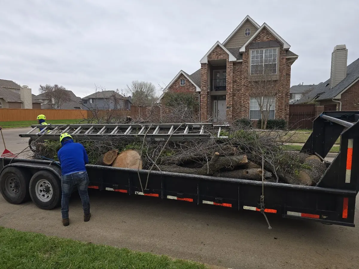 Expert Tree Removal with proper safety equipment in Penn Laird